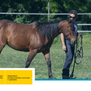 Prueba de Acceso a Técnico Deportivo de Hípica – Nivel 1
